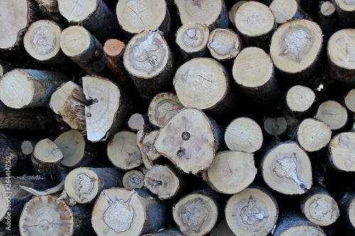 A large pile of freshly sawed tree trunks  as a result of industrial logging.