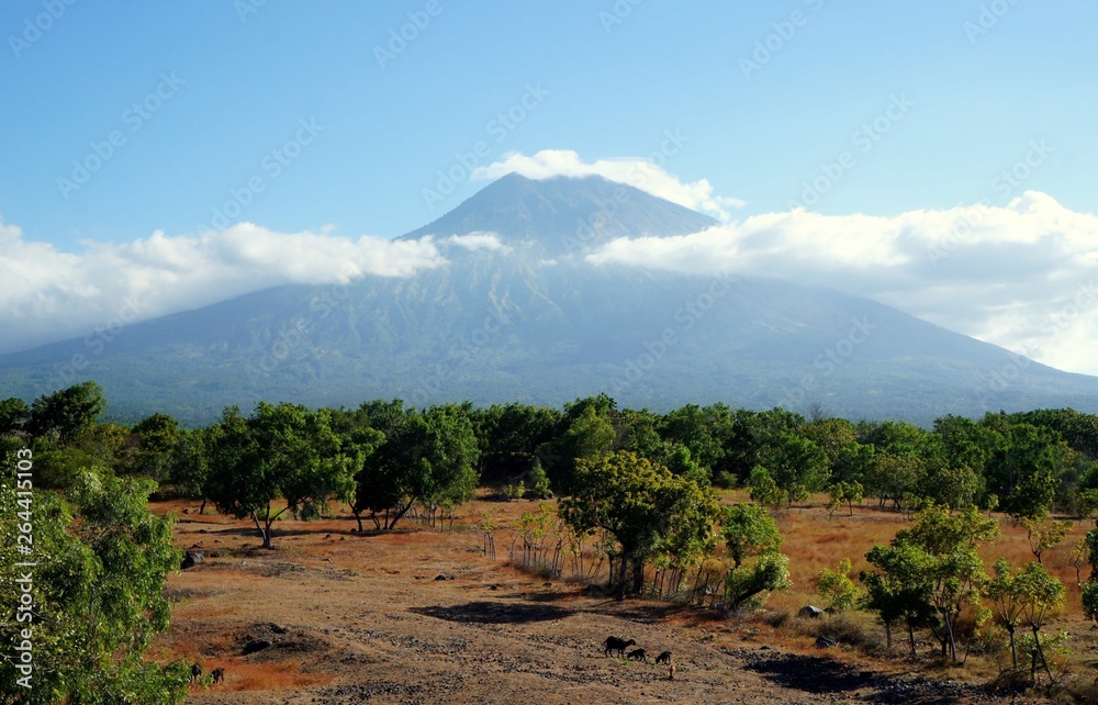 Naklejka premium Bali mountain and field landscape