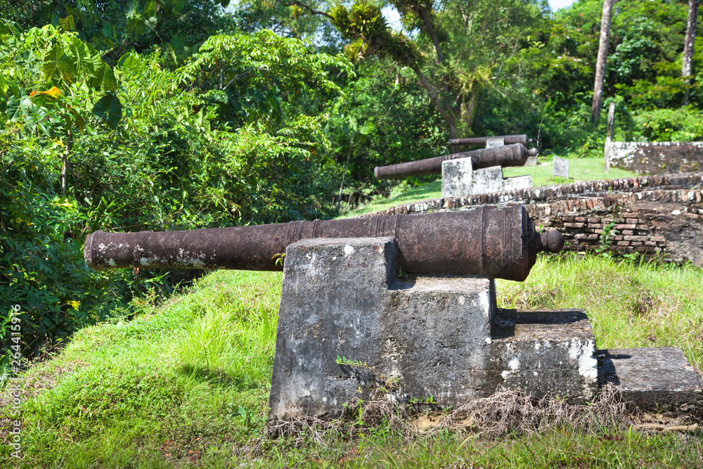 Fortress. Guns of Fort Zeelandia, Guyana. Fort Zealand is located on the island of the Essequibo river. The Fort was built in 1743 during the Dutch colonization. World tourism.