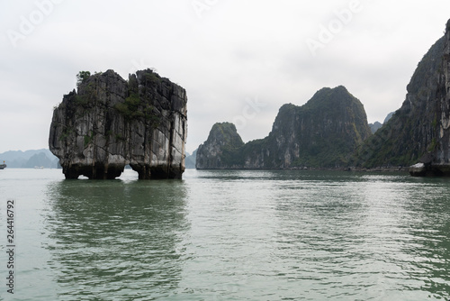 limestone Money Island because this island is on vietnam banknote. Halong bay northeast Vietnam is towering limestone islands topped by rainforests