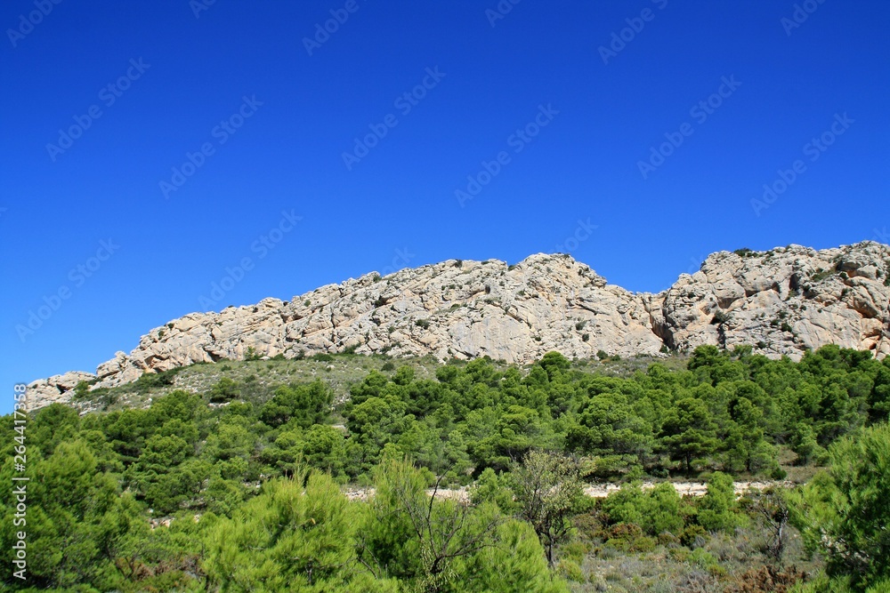 sandstone escarpment and pine forest