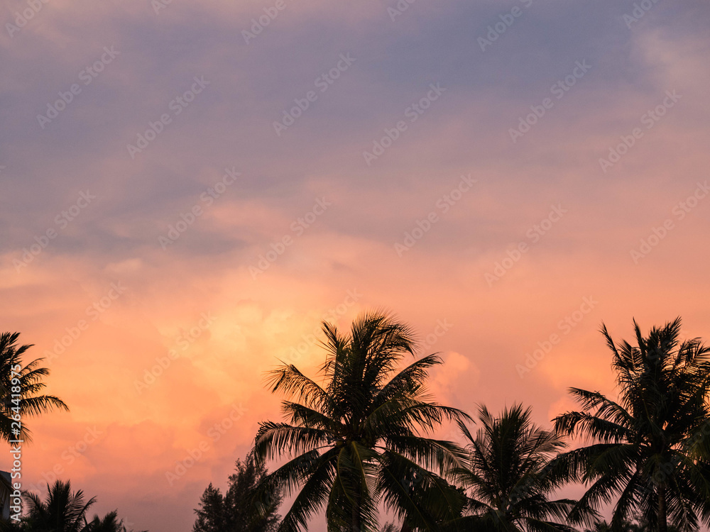 Silhouettes Palms trees on the beautiful sunset background. Coconut trees against pink sky. Palm trees at tropical coast. Beautiful sunset