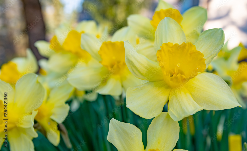 easter bells in closeup