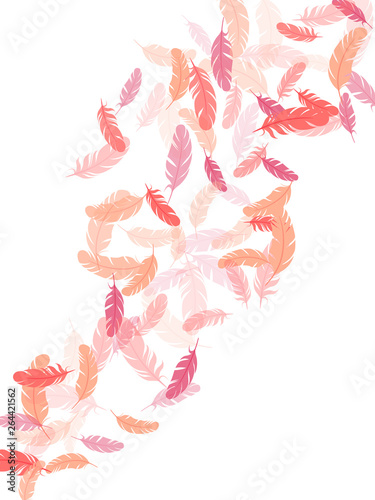 Flying feather elements airy vector design.