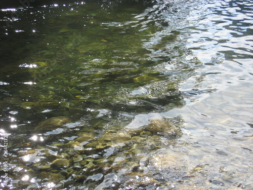 river rocky bottom in clear water