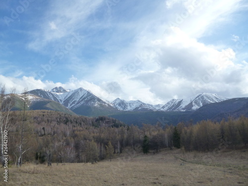 landscape in the mountains