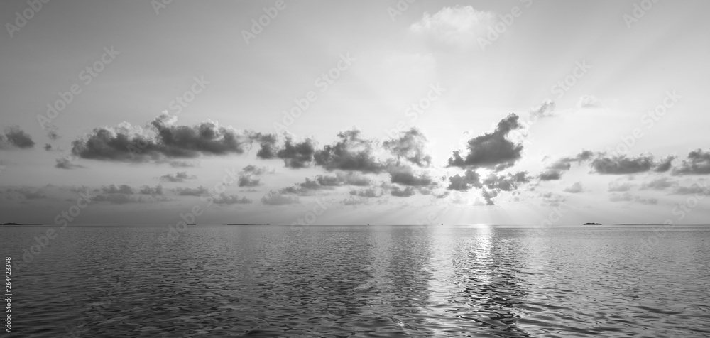 Fototapeta premium Black and white sunset