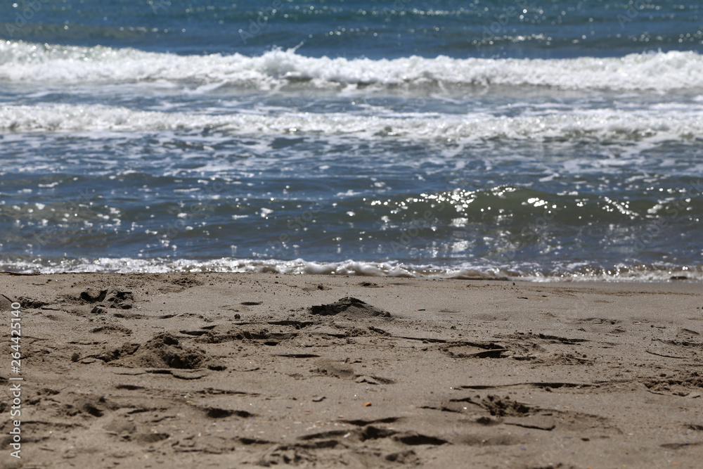 Strand am Mittelmeer im Sommer, Camargue, Frankreich Strand am Mittelmeer im Sommer, Camargue, Frankreich