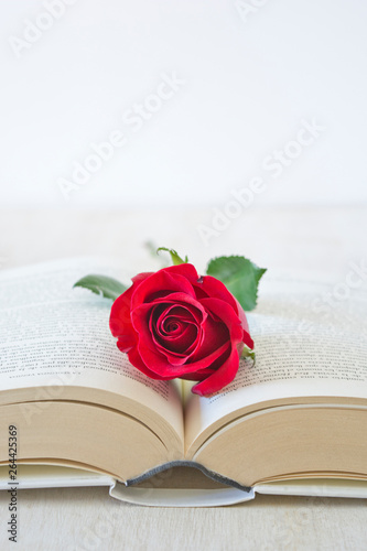 Fototapeta Naklejka Na Ścianę i Meble -  red rose on open book horizontal