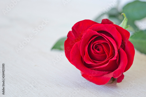 red rose with green leaves on white wooden table