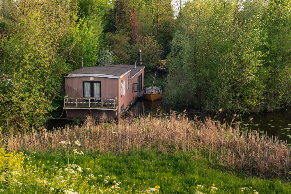 Houseboat hidden between bushes in springtime.