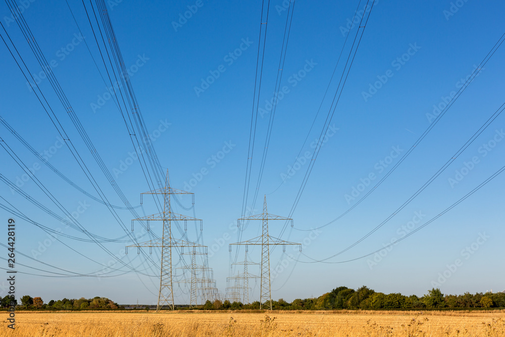 Stromtrasse mit etlichen Strommasten, die auf einem goldenen Feld stehen