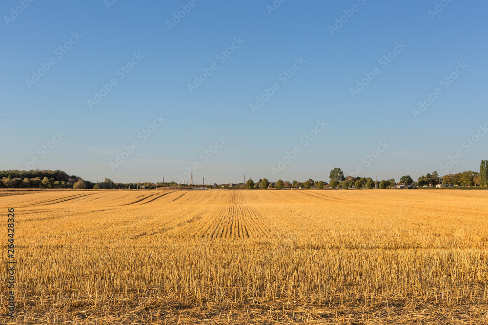 Weite Feldstrecken ausgetrockneter Erde und vertrockneter Getreidestoppel