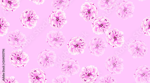 Seamless Flowers Pattern, Roses.