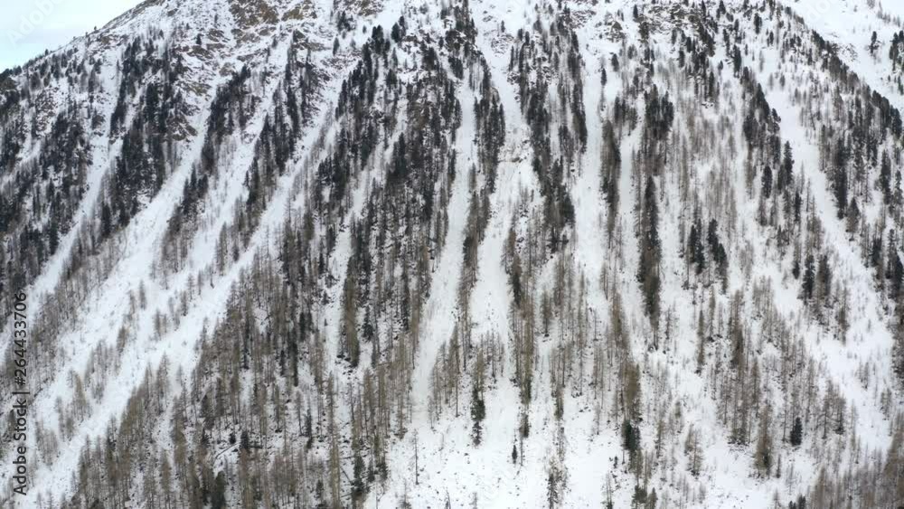 Aerial: Side of a Snowy Mountain with Pine Forest in South Tyrol, Italy Aerial: Side of a Snowy Mountain with Pine Forest in South Tyrol, Italy