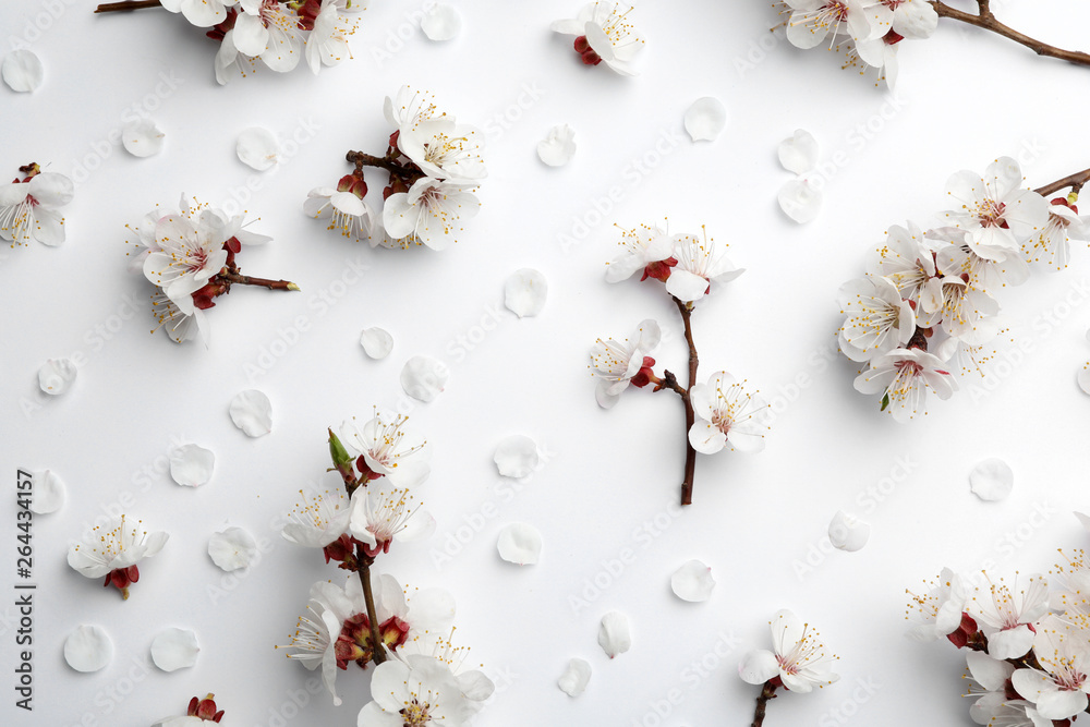 Beautiful fresh spring flowers on white background, top view Beautiful fresh spring flowers on white background, top view