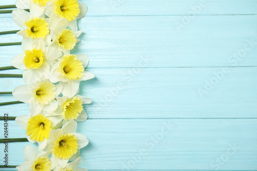 Flat lay composition with daffodils and space for text on wooden background. Fresh spring flowers © New Africa