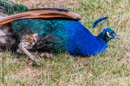 Tierpark Wismar photo