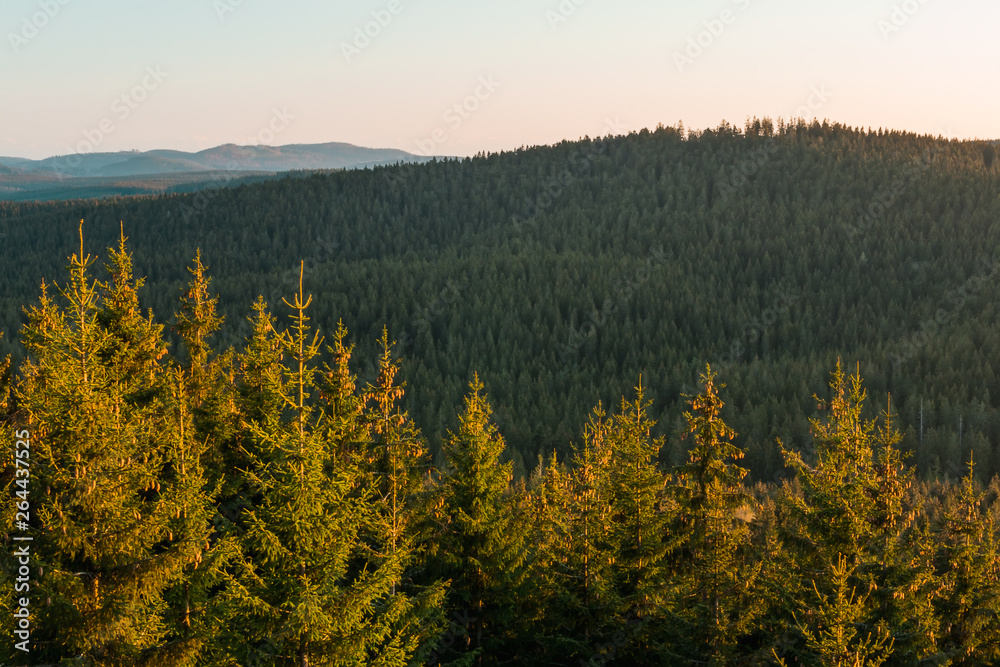 Obraz premium Nice forest valley with distant hills