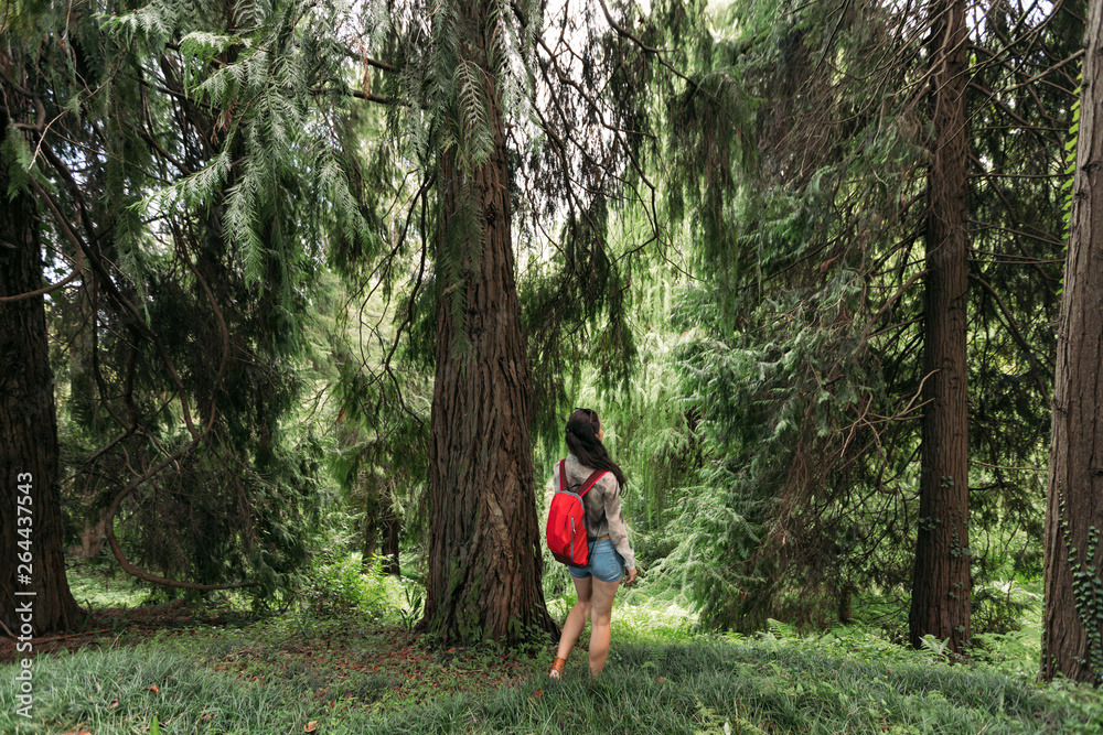 Obraz premium Traveler woman with backpack walking in the forest