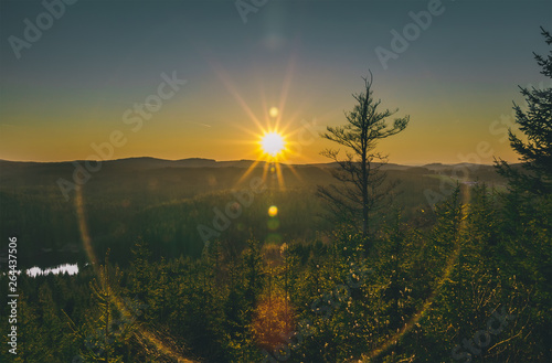 Nice sunset in forest valley with tree and sun