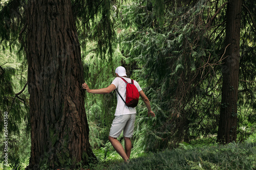 Traveler man with backpack walking in the forest