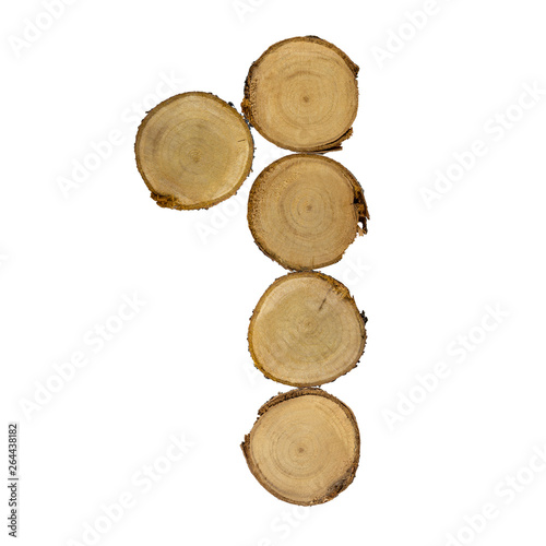 font of number 1 wooden stumps  white background isolated