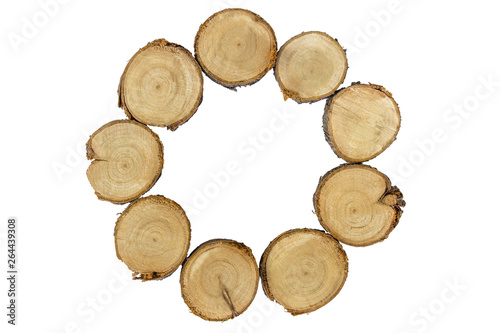 Wooden stump  round frame  white background isolated