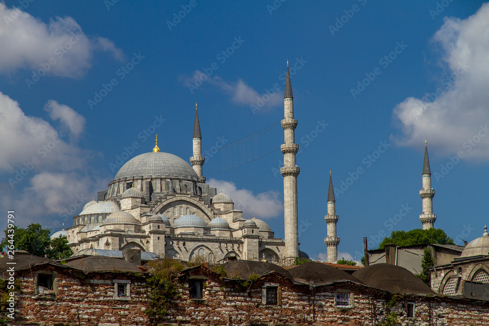 Naklejka premium Neue Moschee in Istanbul
