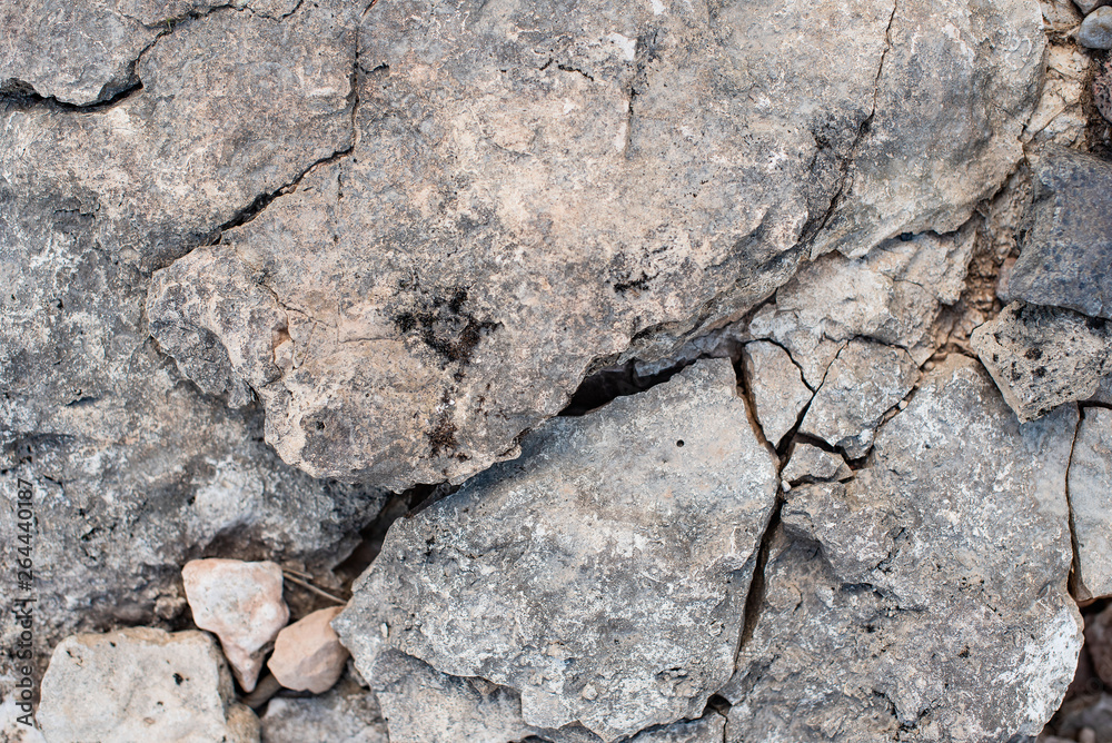 cracked petrified clay soil as background cracked petrified clay soil as background