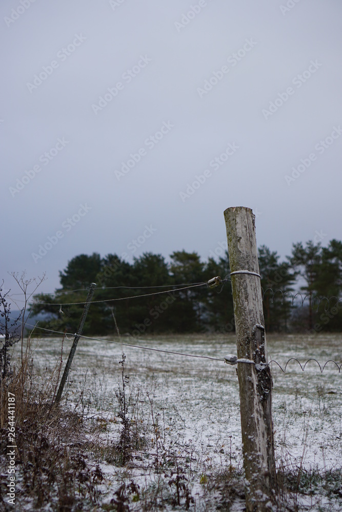 Fototapeta premium fence and blue sky
