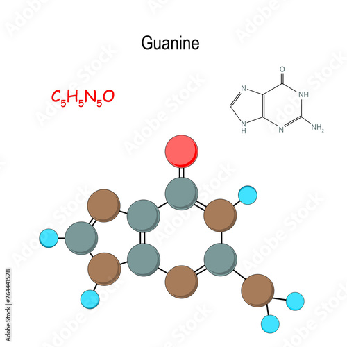 Guanine. Chemical structural formula and model of molecule. C5H5N5O.