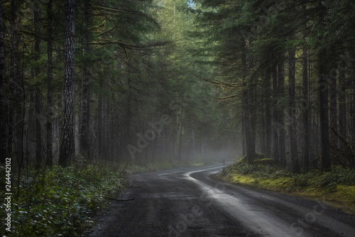 Duckabush Road, Olympic National Forest, Washington State © Roger