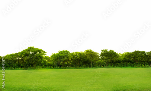 Blurred photo Beautiful meadow in the park with morning sky.