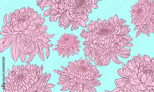 Chrysanthemum Pattern 001