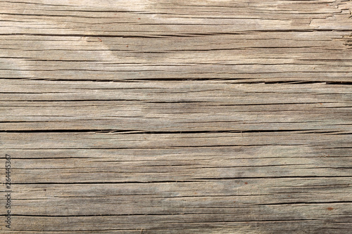 Old Wood Texture