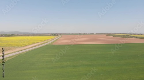 Green field from drone footage with road from left side and yellow rapeseed