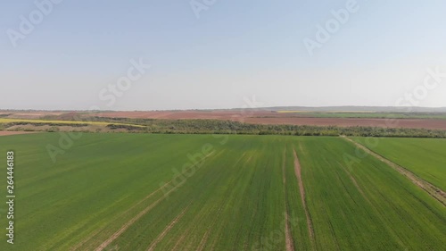 Green field from drone footage