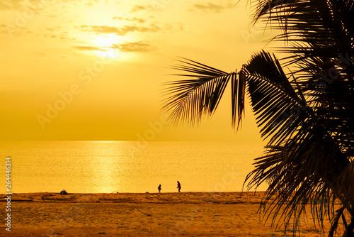 Beautiful Sunrise with coconut palm tree silhouette and privacy