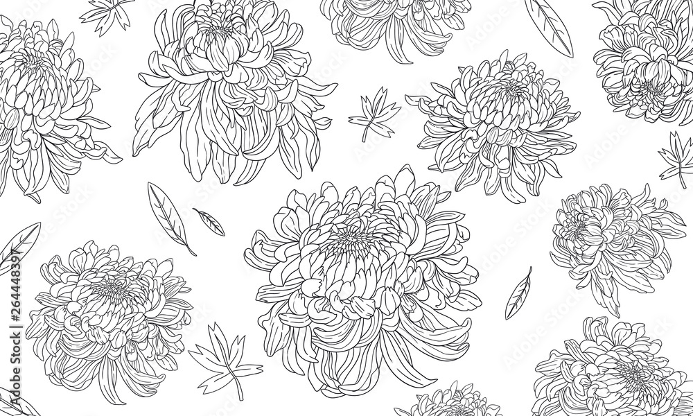 Chrysanthemum Pattern 001