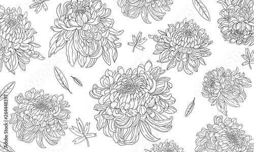 Chrysanthemum Pattern 001
