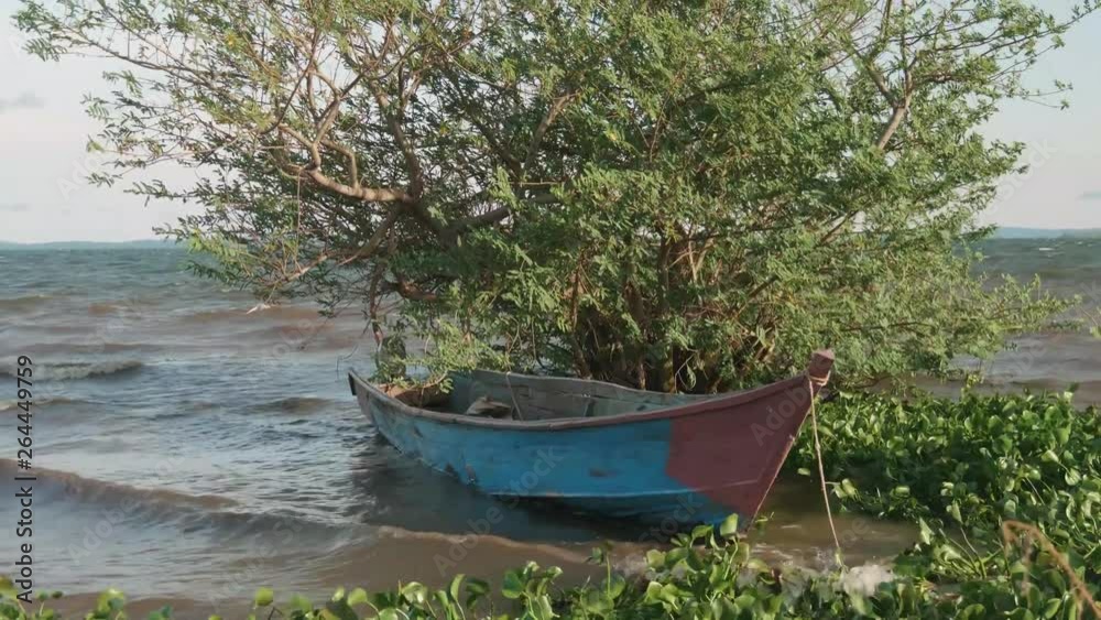 A tradition wooden fishing boat is rocked back and forth in small waves while docked among reeds in Lake Victoria. A tradition wooden fishing boat is rocked back and forth in small waves while docked among reeds in Lake Victoria.