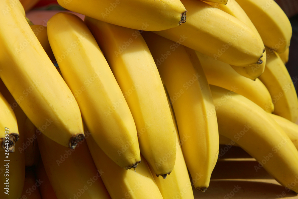 banana harvest. many bananas. banana harvest. many bananas.