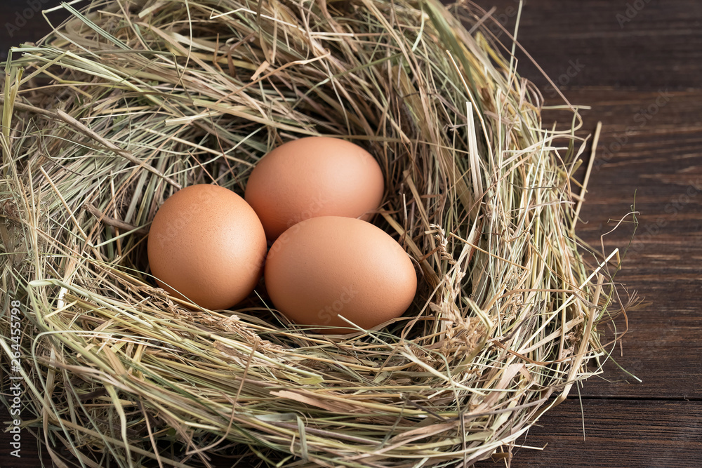 fresh chicken eggs in a nest, three brown eggs in a nest fresh chicken eggs in a nest, three brown eggs in a nest