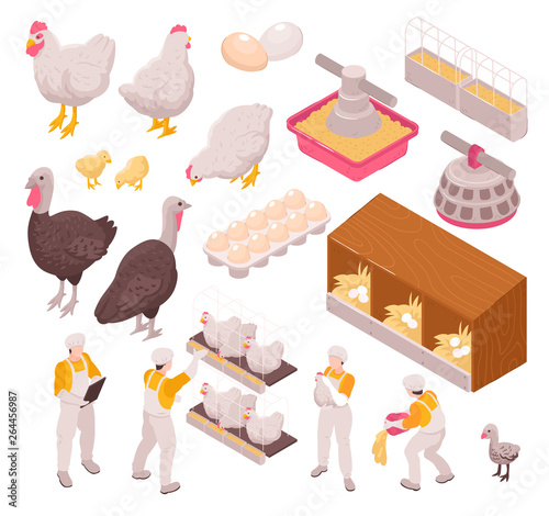Chicken Production Icon Set
