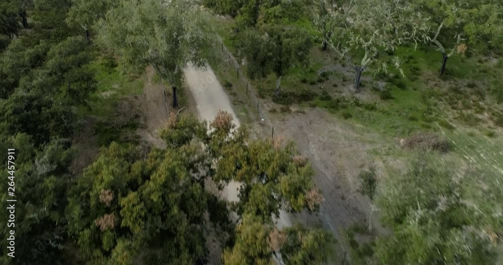 4x4 off road adventure trip with many brands of jeeps in dusty forest drone shots 4x4 off road adventure trip with many brands of jeeps in dusty forest drone shots