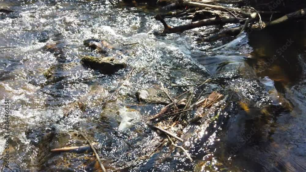River flowing with pieces of trash in it. Sunny day, grass meadow, bushes and trees nearby. 4k 60fps with camera movement along the river. Sunlight reflecting in water River flowing with pieces of trash in it. Sunny day, grass meadow, bushes and trees nearby. 4k 60fps with camera movement along the river. Sunlight reflecting in water