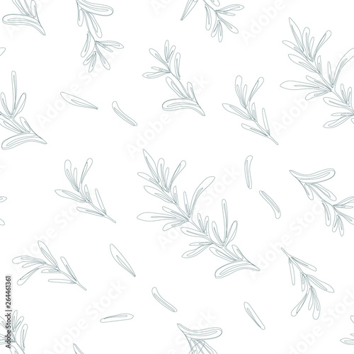 Essential oil vector seamless pattern. Thyme, rosemary, lavender, basil, citronella, pine, peppermint. Illustration