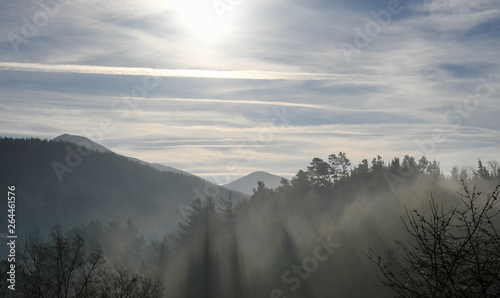 Backlights of the dawn photo