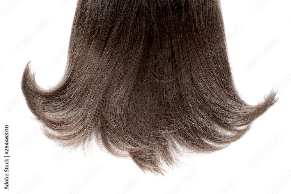 Long brown hair isolated on white background